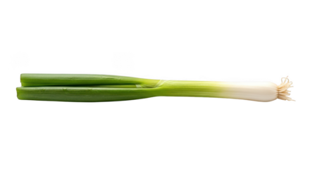 Fresh green onion with roots isolated on transparent background for culinary use