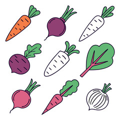 Colorful hand drawn root vegetables collection, organic carrot, beet, radish and onion illustrations, fresh garden produce for healthy diet, vibrant vegetable set isolated on white background