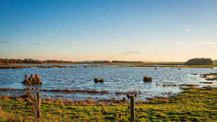 Druridge Pools Nature Reserve looking south, which is close to the Northumberland coast and was a former opencast mine, now a popular reserve with wildfowl and waders in the wetlands