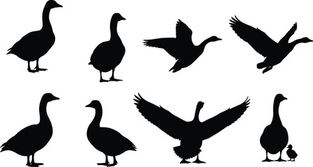 Goose silhouettes set showing standing walking flying birds isolated on white background wildlife vector illustration collection for stock design use © Deep Mind Creations
