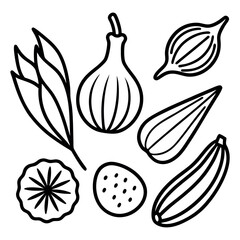 Minimalist black and white line art illustrations of fruits and seeds, hand drawn organic nature icons including fig and botanical elements on white background