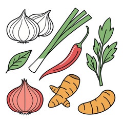 Collection of colorful hand drawn kitchen herbs and spices, organic onion, garlic, ginger and chili pepper illustrations, fresh healthy food icons isolated on white background