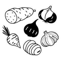 Collection of hand drawn black and white root vegetables, organic potato, onion, garlic and radish illustrations, rustic farm produce sketches on white background