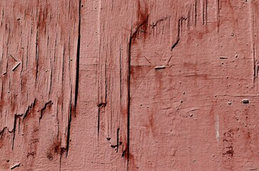 Background, texture of old wooden plywood with peeling layers covered with pink paint