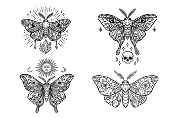 Mystical moth illustrations with skull, sun, moon, flowers and crystals in black line art