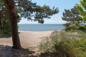 die Ostseeinsel R&uuml;gen hat auf dem M&ouml;nchsgut noch ruhige und naturbelassene Str&auml;nde