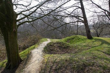 Preserved World War I battlefield landscape at Hill 60 Zillebeke. Grassy shell craters and scarred earth of the Ypres Salient on the Western Front in Flanders Belgium.