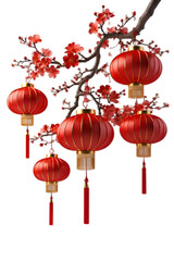 chinese new year lantern