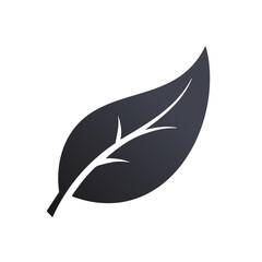 Isolated Dark Green Leaf With Visible Veins And Pointed Tip, Providing A Simple And Elegant Botanical Image, Modern and Graphic