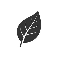 Leaf icon, leaf with veins illustration, nature, plant icon illustration design vector