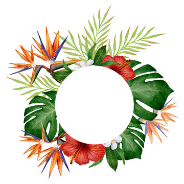 Watercolor tropical frame with hibiscus, bird of paradise flowers and monstera leaves on white background, illustration ideal for summer invitations, greeting cards, posters and botanical decoration.