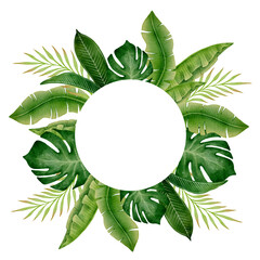 Watercolor circular tropical frame with monstera, palm and banana leaves on white background, illustration ideal for summer invitations, greeting cards, posters, labels and botanical decoration. © Alona