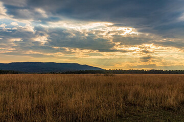 Landscapes, Forest, Carpathians, Photos of nature - Europe, Eastern Europe
