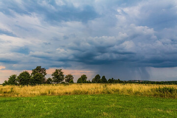 Landscapes, Forest, Carpathians, Photos of nature - Europe, Eastern Europe