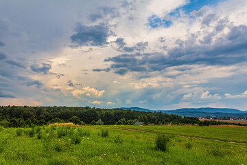 Landscapes, Forest, Carpathians, Photos of nature - Europe, Eastern Europe