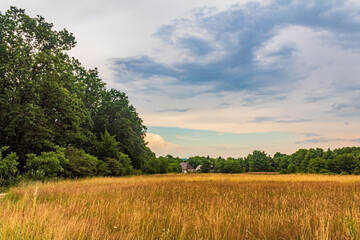 Landscapes, Forest, Carpathians, Photos of nature - Europe, Eastern Europe