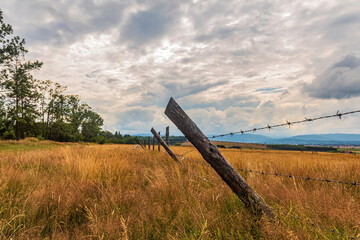 Landscapes, Forest, Carpathians, Photos of nature - Europe, Eastern Europe