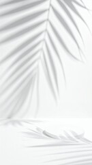 Palm leaf shadows on a white background, creating a serene and minimalist aesthetic, perfect for product display or overlay.
