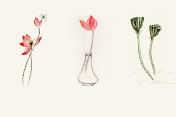 Fototapeta premium Elegant Lotus Flower Art In Chinese Style