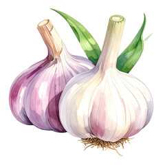 Watercolor illustration of two garlic bulbs with green leaves, against a black background