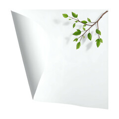 A white paper page with a curled corner and a branch with leaves in the upper right