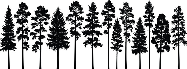 Tree silhouette vector collection, black and white contrast, botanical shapes, nature theme, forest design, minimal style, diverse foliage, coniferous species © Parvej Creatives