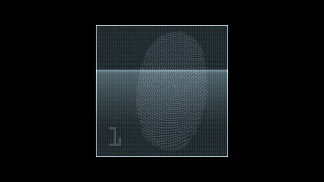 fingerprint