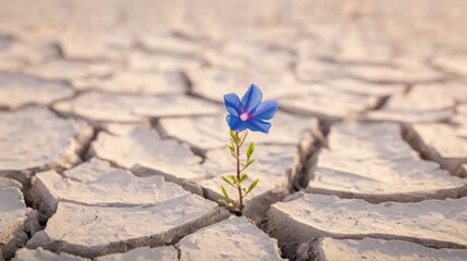 Close-up of tenacious flower in difficult environment, suitable for educational materials, climate change awareness, or motivational visuals.