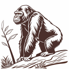 Obraz premium White back ground a black and white illustration of a brown colour gorgilla.