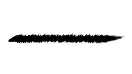 Hand Drawn Double Underline Marker Stroke PNG