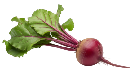 Fresh Red Beetroot with Green Leaves on Black Background