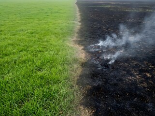 Green Grass and Burned Land Split Concept of Environmental Damage