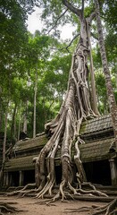 Obraz premium Large tree roots growing on ancient temple.