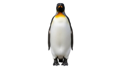 Majestic emperor penguin PNG isolated on transparent background, regal bird with striking yellow...