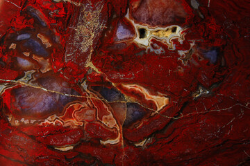 Slice of Petrified Wood with Agate from India
