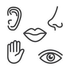 Obraz premium Human senses 5 five types. Vision through eye, smell with nose, taste with tongue line icon. Simple icon set.