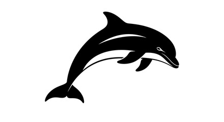 Fototapeta premium Dolphin jumping out of the water