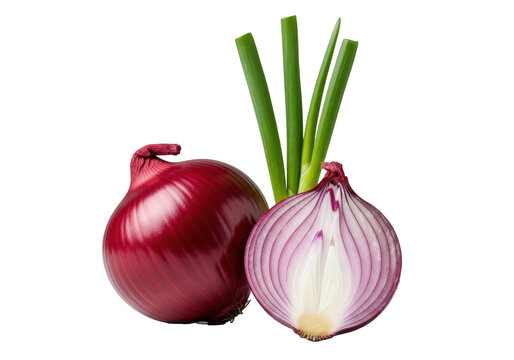 Vibrant whole and half red onions with intricate purple layers, moist and translucent, alongside fresh green stalks on a transparent studio background with soft lighting, concept of culinary freshness