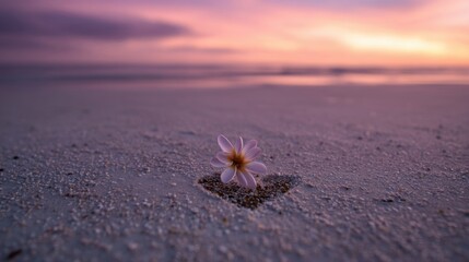Serene beach at dusk with soft pink and orange sky blending into misty sea horizon,