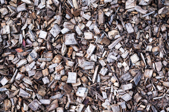Shredded pieces of branches in the garden on the ground.