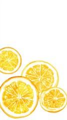 Fototapeta premium Fresh watercolor lemon slices illustration on white background, vibrant yellow citrus fruit arranged as a cheerful bottom border