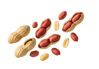 Raw peanuts, pods, red and yellow kernels, shell fragments frozen in dynamic mid-air motion on a clean transparent background with copy space, natural product deconstruction concept