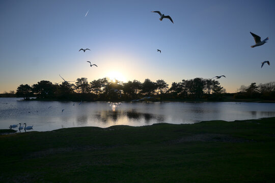 sunset on the lake