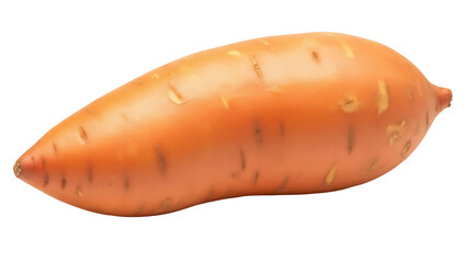 Isolated sweet potato lying on its side, a healthy and delicious orange root vegetable