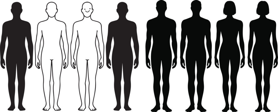 Various human body outlines and silhouettes depicting male and female forms