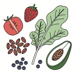 Healthy Raw Food Ingredients Collection  Minimal V (8) Vector Illustration