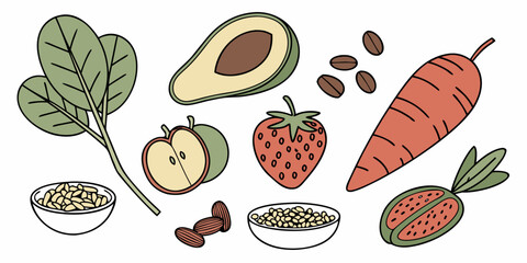 Healthy Vegan Food Ingredients  Flat Vector  White (9) Vector Illustration