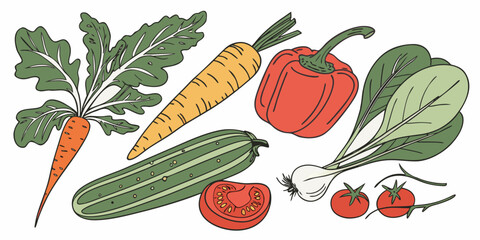 Organic Kitchen Vegetables Set  Vector Illustratio (5) Vector Illustration