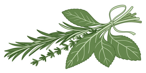 Fresh Herbs And Greens Bundle  Minimal Vector  Whi (8) Vector Illustration