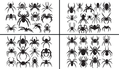 spider silhouettes vector, insect clipart, creepy crawly svg, bug illustration, halloween spider graphics, black insect silhouettes, wildlife vector art, spider shape design, insect collection, spider © Geetaroy